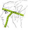 Stilo Helmets - How to Measure Your Head
